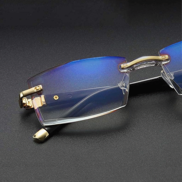Noblu Vision - Image 4